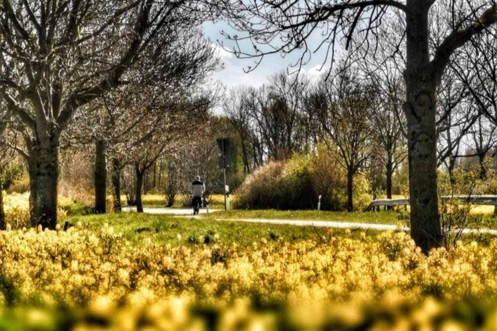 Apartmentvermittlung Mehr Als Meer - Objekt 7 Niendorf  Eksteriør bilde
